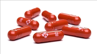 South Korea to receive antiviral COVID-19 pills