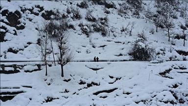 Pakistan: 19 touristes morts après avoir été piégés par la neige au Pendjab 