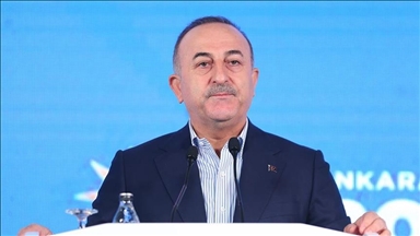 Turkiye to help Kazakhstan restore peace, stability: Turkish top diplomat