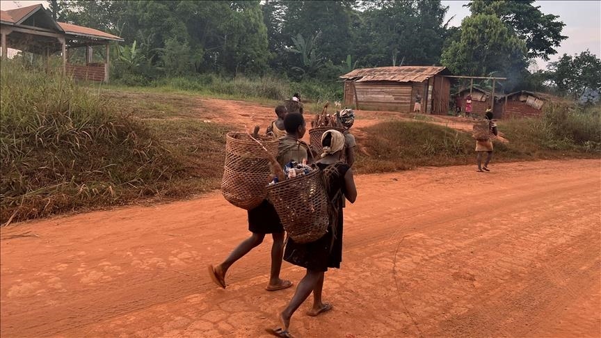 Au Cameroun, les Pygmées sont expulsés de force des forêts qu'ils habitent depuis 5 mille ans
