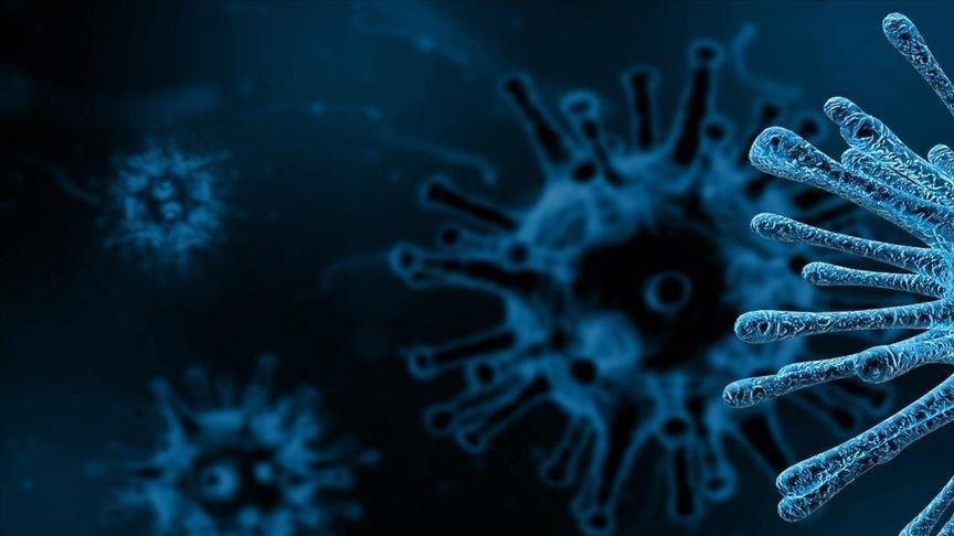 Coronavirus loses 90% of ability to infect individuals after 5 minutes in air