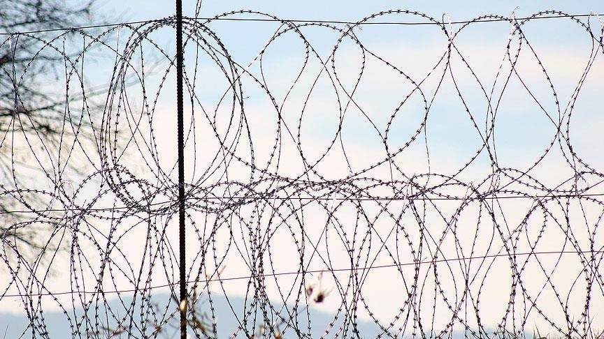 Почти 70 мигрантов пытались нарушить польско-белорусскую границу