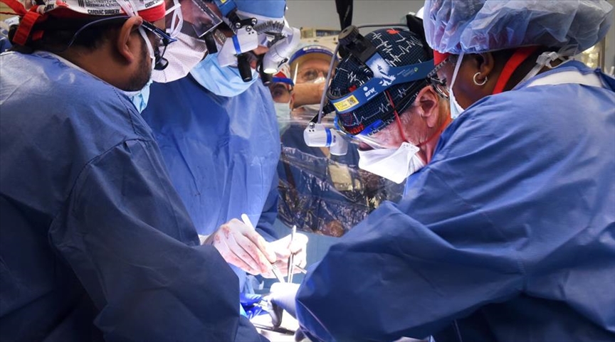 US Surgeons Breaks World Record, Transplants Pig’s Heart Into Human