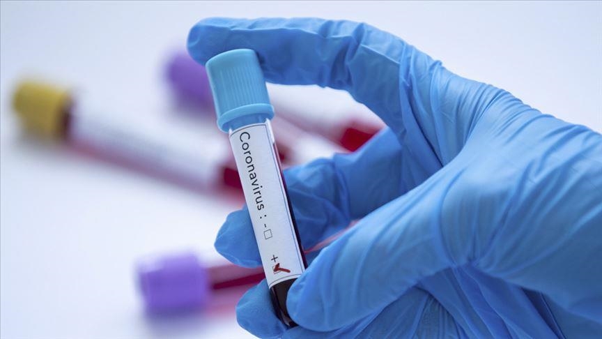 Italy hits highest-ever number of COVID-19 cases with over 220,500 infections
