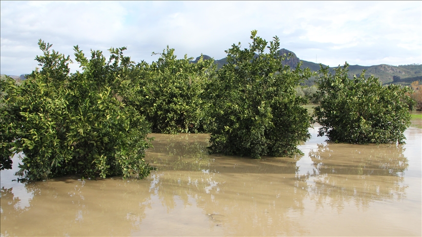 Antalya'da ırmak taştı, iş yerleri ve tarım alanlarını su bastı