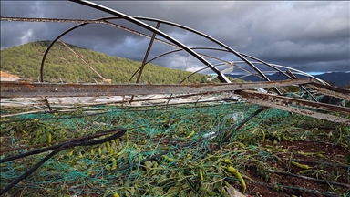 Karadeniz'de doğal afetlerde zarar gören çiftçilere 50 milyon lira ödeme yapıldı