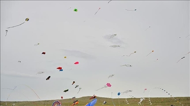Bangladesh sees kite festival inseparable part of its culture