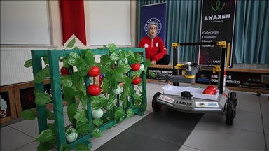 Üniversiteliler ürettikleri "domates hasadı robotu"nu geliştiriyor