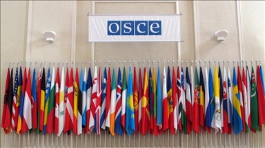 Ukraine satisfied with outcome of OSCE meeting in Vienna