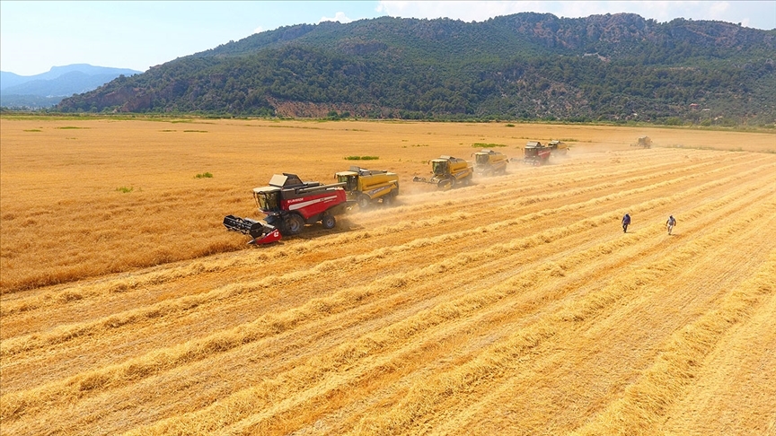 Küresel tarımsal emtia fiyatlarının bu yıl da yüksek seyretmesi bekleniyor