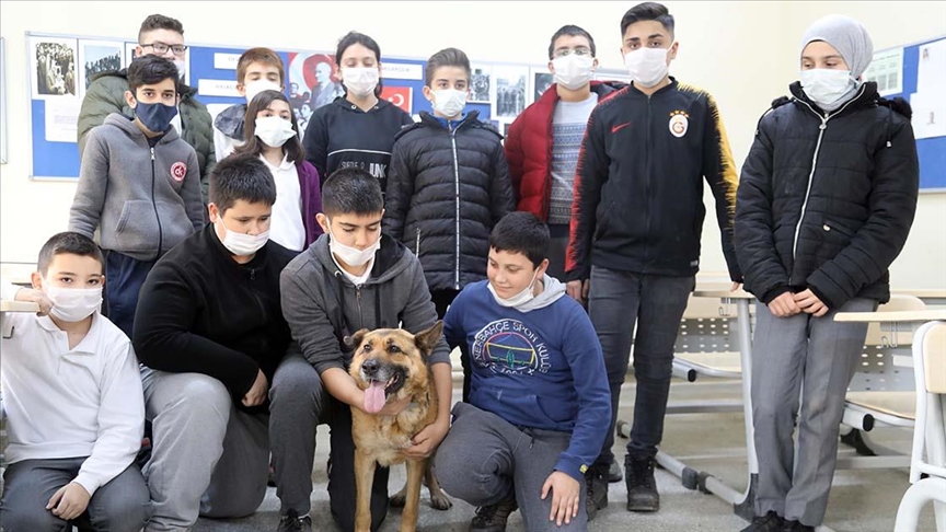 Öğrenciler 'Pele' isimli sokak köpeğiyle derse girip oyunlar oynuyor