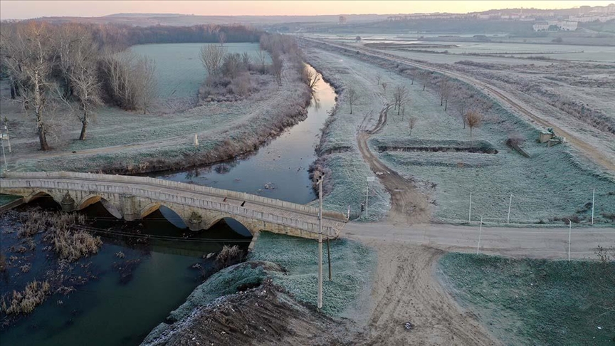 Edirne'de soğuk hava nedeniyle tarlalar buzla kaplandı