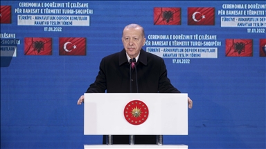 Эрдоган: Радость Албании - радость Турции, а боль - это и горечь турецкого народа