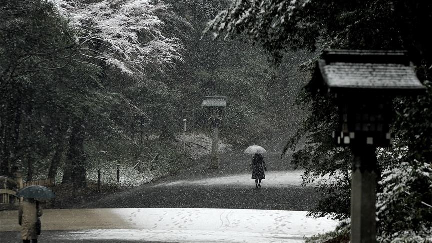 Japan’s daily coronavirus tally at record high