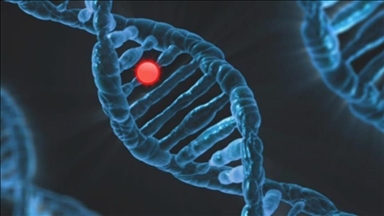 Истражувачите открија генска варијанта која штити против тежок облик на Ковид-19
