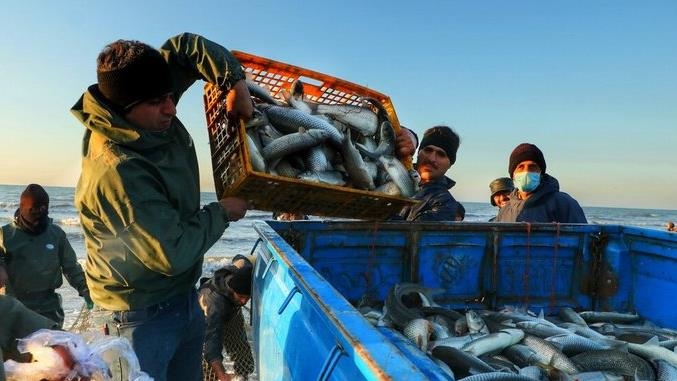 امرار معاش ترکمن‌های افغانستان از صید ماهی