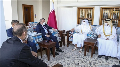 رئيس مجلس ترکیه با امیر قطر دیدار کرد