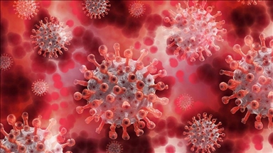 France reports all-time high for new coronavirus cases