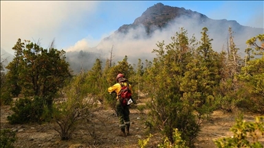 Kebakaran hutan terus menjalar di Argentina