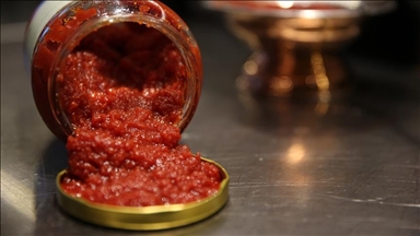 Турция в 2021 году экспортировала томатную пасту в 131 страну мира
