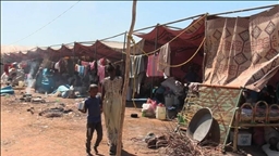 UNHCR appeals for $59.6M for refugees, displaced people in Chad, Cameroon
