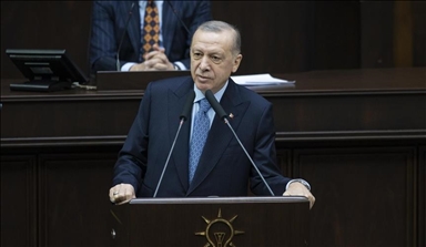 Erdogan: Turki siap mediasi konflik Rusia dan Ukraina