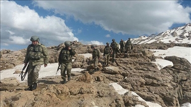 Turquie : Quatre terroristes du PKK se rendent aux forces de sécurité 