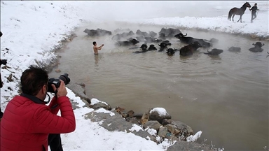 بيتليس التركية.. جواميس وخيول تستمتع بحمام دافئ وسط الثلوج