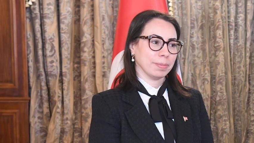 Director of Tunisian president’s office resigns