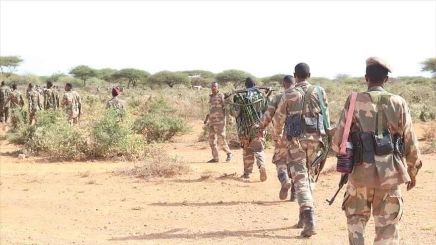 Somali military liberates 2 towns, 8 villages from terrorists, says official