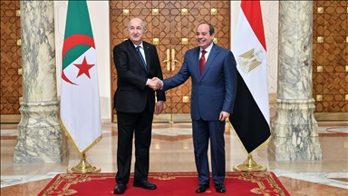 القمة العربية وليبيا وفلسطين تهيمن على زيارة تبون إلى مصر 