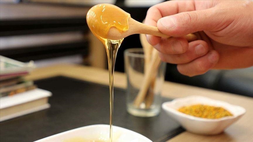 Turkish honey exported to 55 countries in 2021