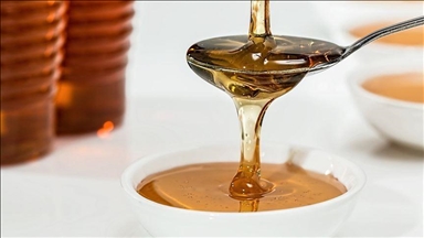Турскиот мед извезен во 55 земји во 2021 година