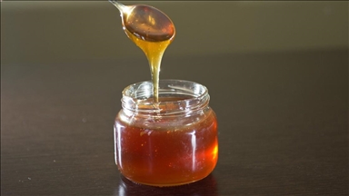 Turqia eksportoi mjaltë në 55 shtete në vitin 2021