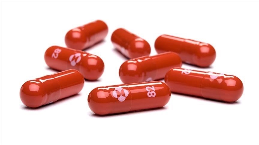 EU regulator conditionally approves Pfizer's COVID-19 pill