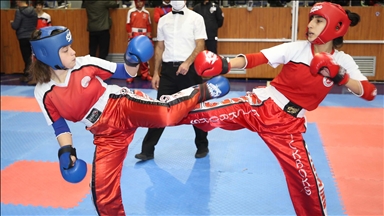 В турецком Орду завершился турнир по кикбоксингу