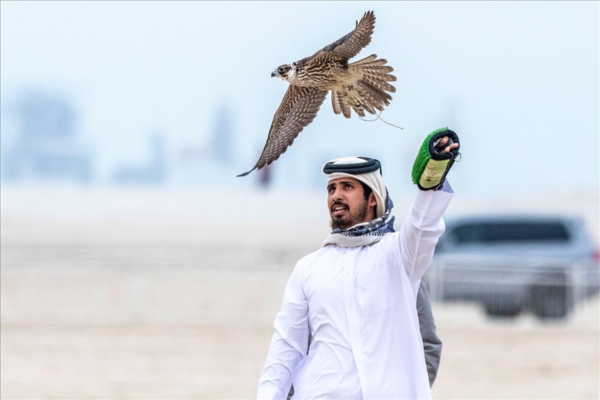 قطر.. مهرجان الصقور والصيد يكرّس الهواية الخليجية الأبرز (تقرير)