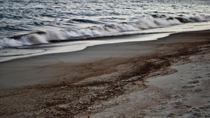Oil spill turns Thai beach into ‘disaster area’