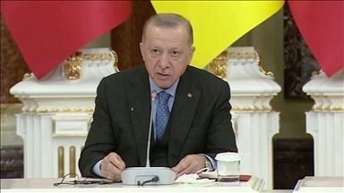 Эрдоган: Турция готова к вкладу в устранение напряженности между Украиной и РФ