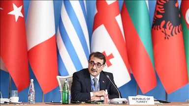  Анкара выступает за сотрудничество стран региона в сфере энергетики - министр