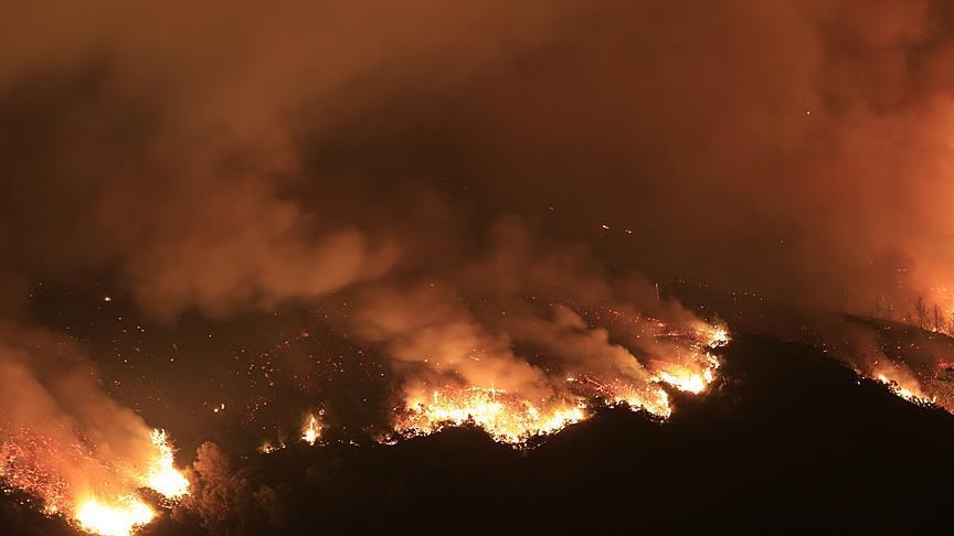 Kenyan forest fire spirals out of control