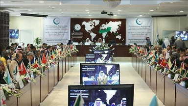 ОИС приветствует решение саммита Африканского союза по Израилю