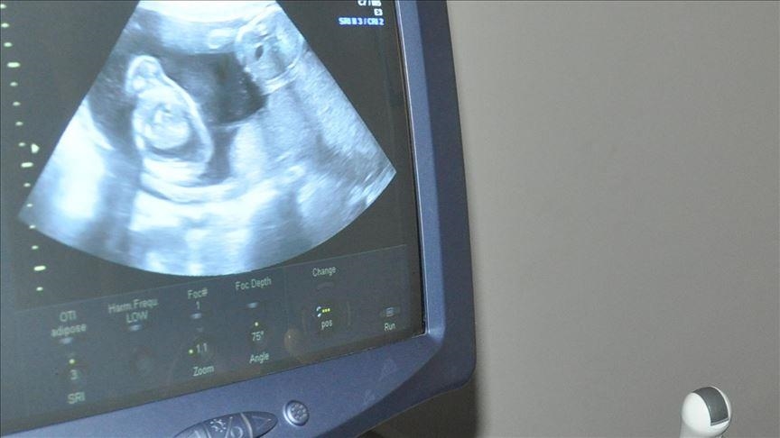 Abortions in US state of Texas drop 60% in 1st month of new law