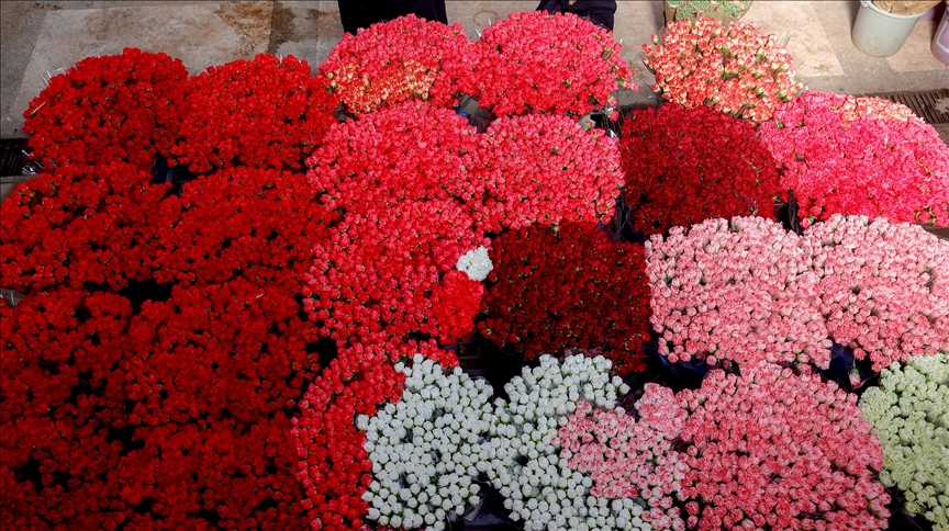 Türkiyeden 24 ülkeye Sevgililer Günü çiçeği