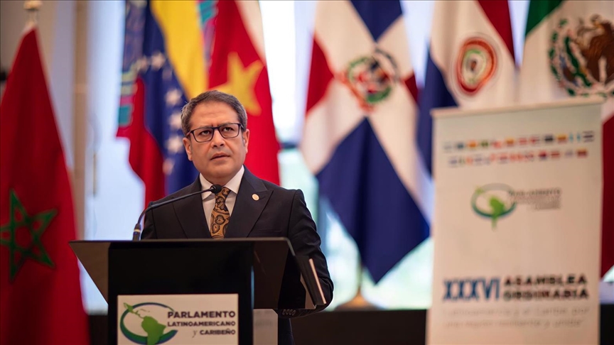 Turkiye seeks to develop ties with Latin America: Lawmaker