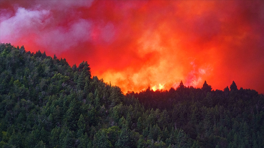 Arjantindeki orman yangınlarında 500 bin hektardan fazla alan zarar gördü