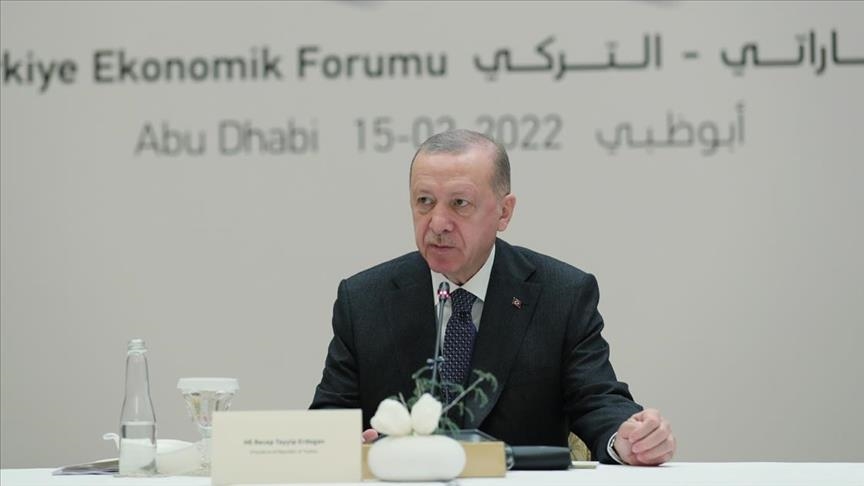 Strengthening bilateral ties common goal for Turkiye, UAE: Erdogan