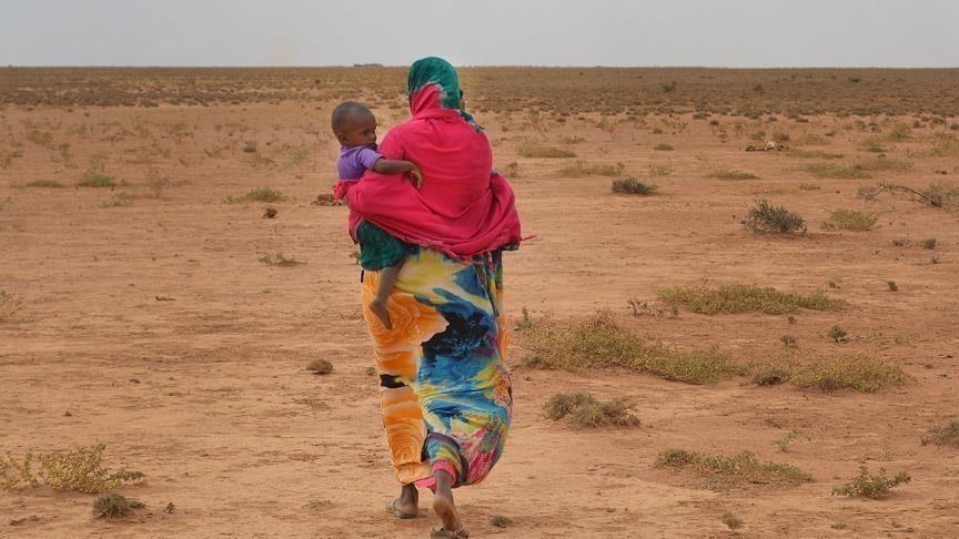 Severe drought causes starvation and livestock deaths in Somalia