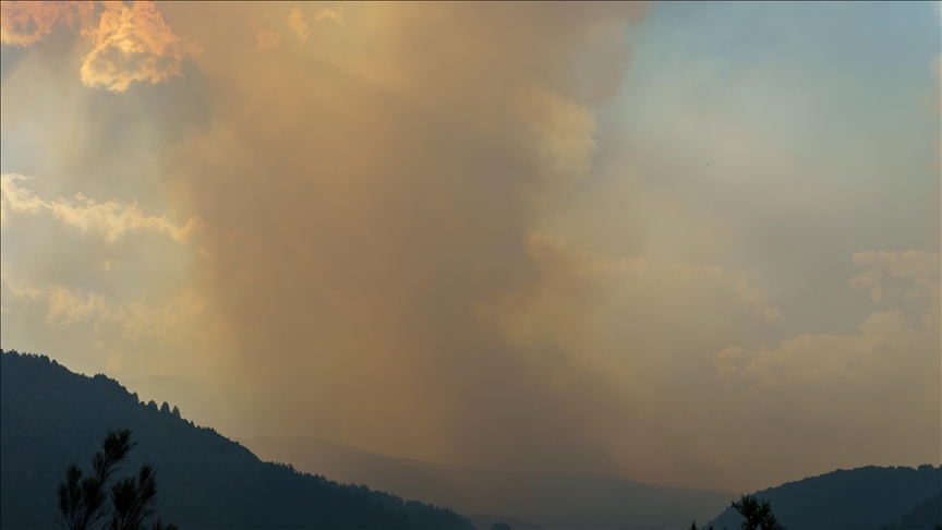 Wildfire in southeastern South Korea extinguished after 3 days