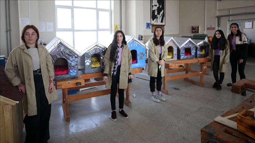 Meslek lisesi öğrencileri 'sevimli dostlar' için kulübe yaptı